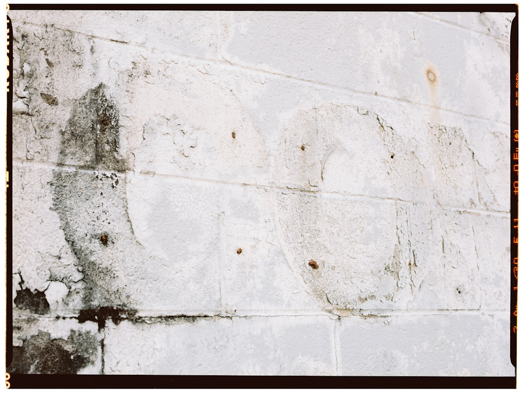 Flood Cleanup service in Santa Clara, CA